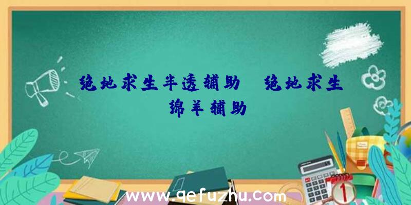 「绝地求生半透辅助」|绝地求生绵羊辅助